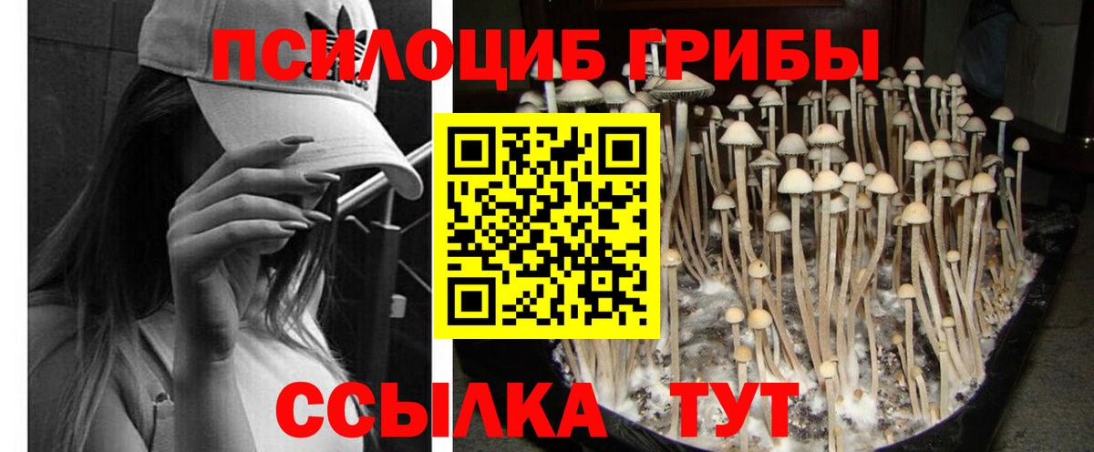 Галлюциногенные грибы мухоморы  Псилоцибиновые грибы мухоморы  Калач-на-Дону  Вход с VPN 